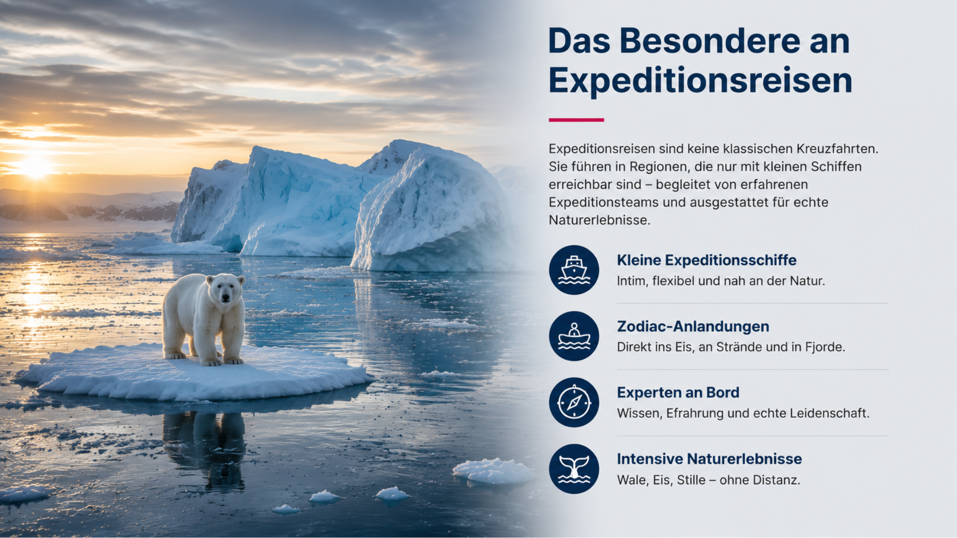 Eisb&auml;r
