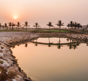 Ruhige K&uuml;stenlandschaft mit Palmen und Wasser in Ras Al Khaimah bei Sonnenuntergang.