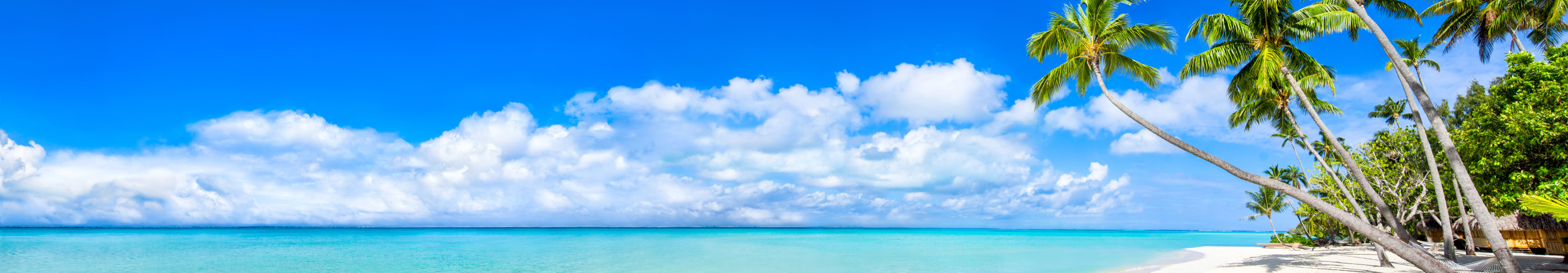 Traumstrand mit Palmen auf einer Karibikinsel unter blauem Himmel