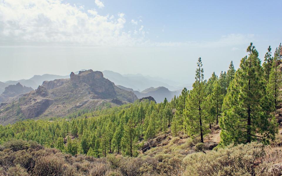Gipfel des Roque Bentaygas auf Gran Canaria