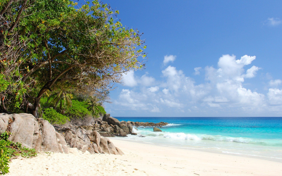 Weißer Sandstrand mit Meer und Bäumen