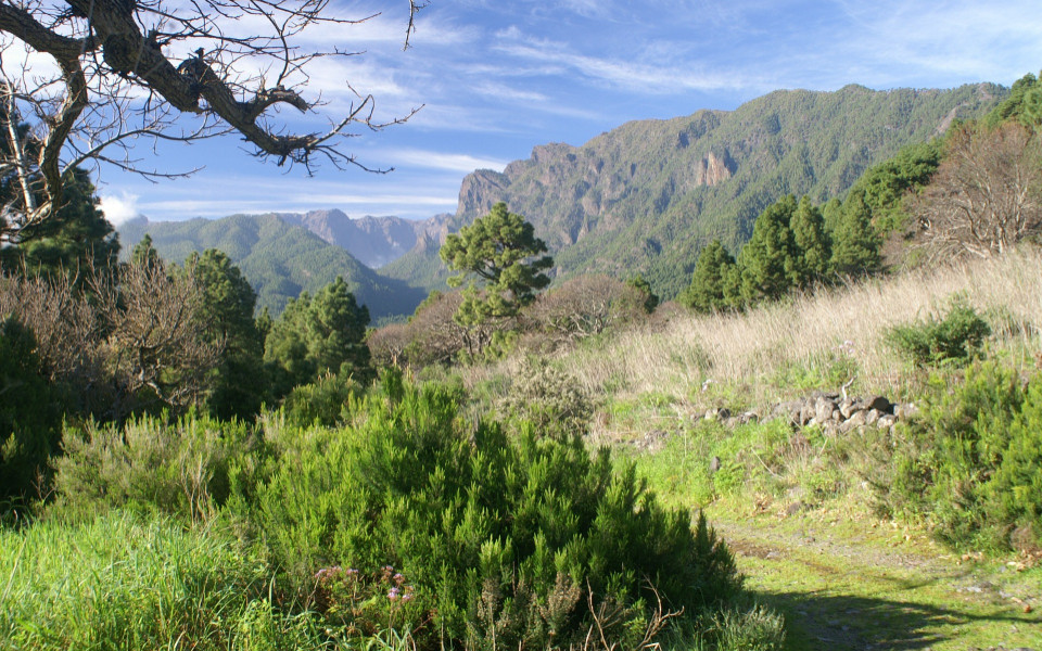 Naturlandschaft La Gomera