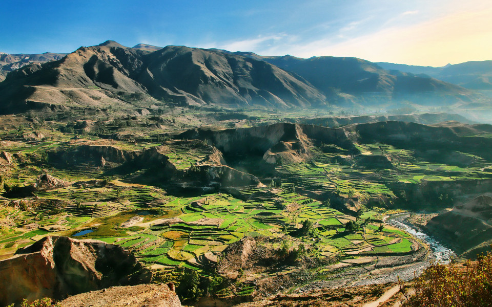 Terrassierte Felder im Colca Canyon mit Flusslauf und umliegenden Anden in Peru.